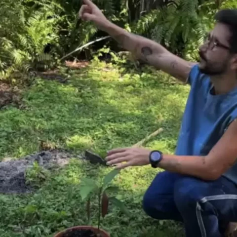 Camilo – El Árbol
