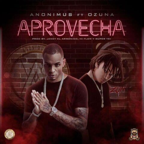 Anonimus Ft. Ozuna – Aprovecha