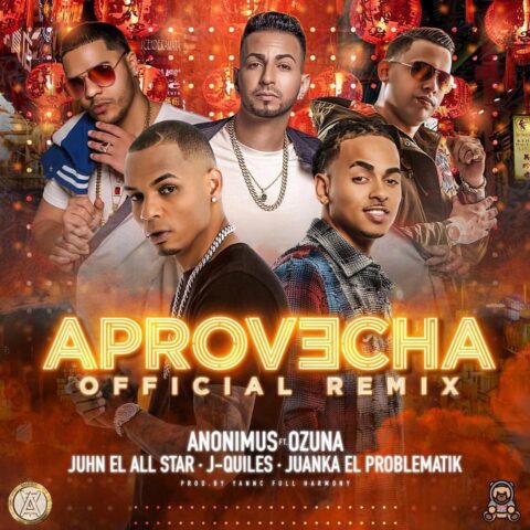 Anonimus Ft. Ozuna, Juhn El All Star, Justin Quiles, Juanka El Problematik – Aprovecha Remix