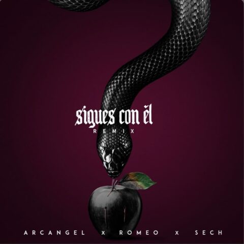 Arcangel Ft. Sech, Romeo Santos – Sigues Con El Remix