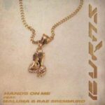 Burns Ft. Maluma, Rae Sremmurd – Hands On Me