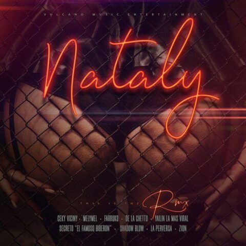 Ceky Viciny Ft. Farruko, De La Ghetto, Shadow Blow, Yailin La Mas Viral, La Perversa, Melymel, Secreto El Famoso Biberon, Zion – Nataly Remix