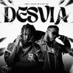 Ceky Viciny, Flow 28 – Desvía