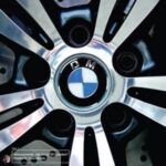 Cosculluela – DM
