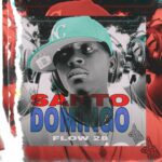 Flow 28 – Santo Domingo