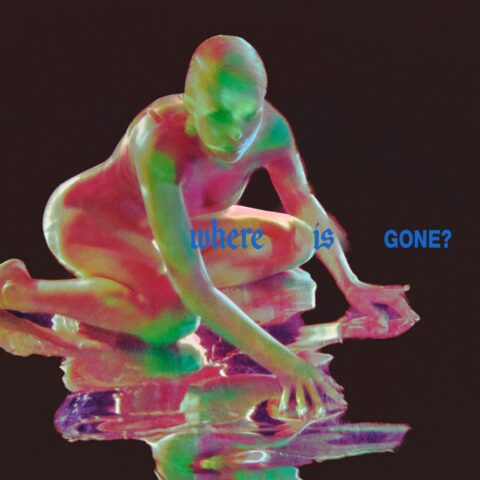 Fontaines D.C., ROSALÍA – Where Is Gone