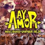 Guaynaa Ft. Mike Bahia, Ñejo – Ay Amor