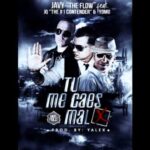 Javy The Flow Ft. JQ, Yomo – Tu Me Caes Mal