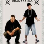 Las Guanabanas Ft. Luigi 21 Plus, J Alvarez, Dalmata, Ñengo Flow, Chyno Nyno – Underground