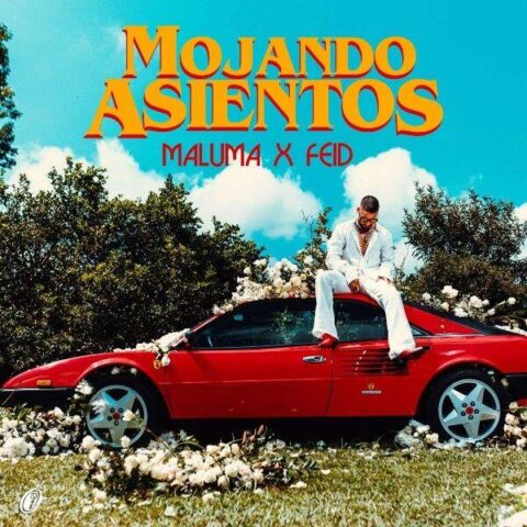 Maluma Ft. Feid – Mojando Asientos
