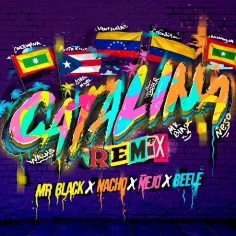 Mr. Black El Presidente, Nacho, Ñejo, Beele – Catalina Remix