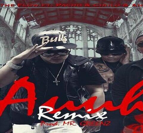 Mr. Javy The Flow Ft. Pacho Y Cirilo, Angel Doze – Auuh Remix