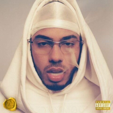 Myke Towers – LAS PANTERAS