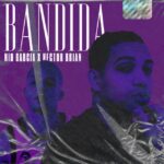 Nio Garcia Ft. Hector Brian – Bandida, Challenge