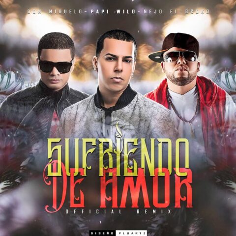 Papi Wilo Ft. Ñejo, Don Miguelo – Sufriendo De Amor Remix