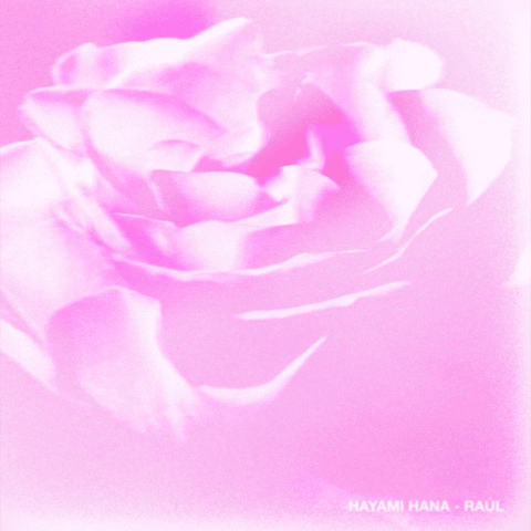 Rauw Alejandro – Hayami Hana