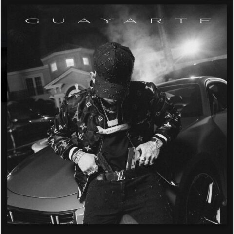 Standly – Guayarte