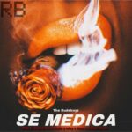 The Rudeboyz, Totoy El Frio, Pirlo, Kapo, Kapla Y Miky, Luister La Voz – Se Medica