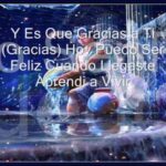 Wisin Y Yandel Ft. Enrique Iglesias – Gracias A Ti Remix