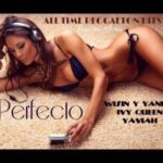 Wisin Y Yandel Ft. Ivy Queen, Yaviah – Perfecto