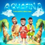 Yeruza Ft. Eladio Carrion, Brray – Aquafina