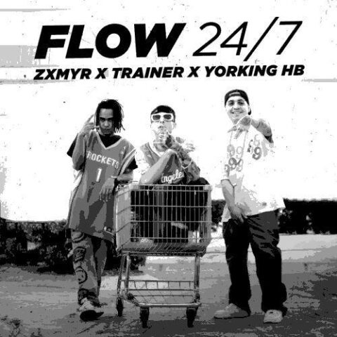 Zxmyr, Trainer, Yorking Hb – Flow 24/7