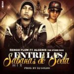 Ñengo Flow Ft. Algenis, D.OZi – Haciendo Ruido